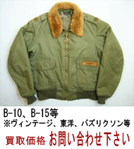 ���B���e�[�W�t���C�g�W���P�b�g�@���捸��